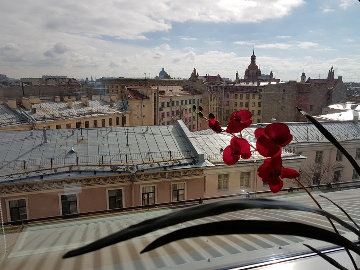 спб крыши