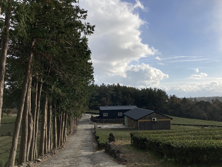 jeju