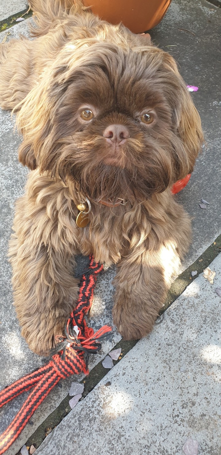 I'm a handsome chap!!!