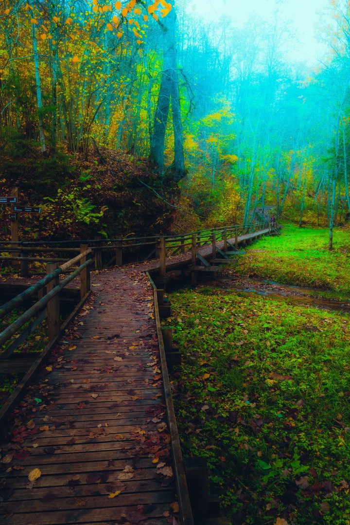 Path of Tranquility
