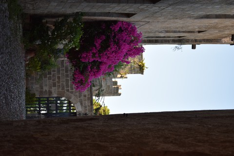 Rhodes