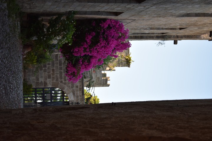 Rhodes