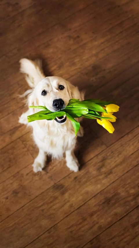 cute
