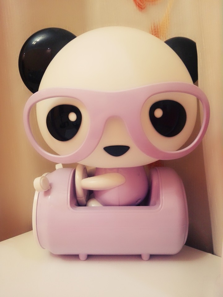 cute bear