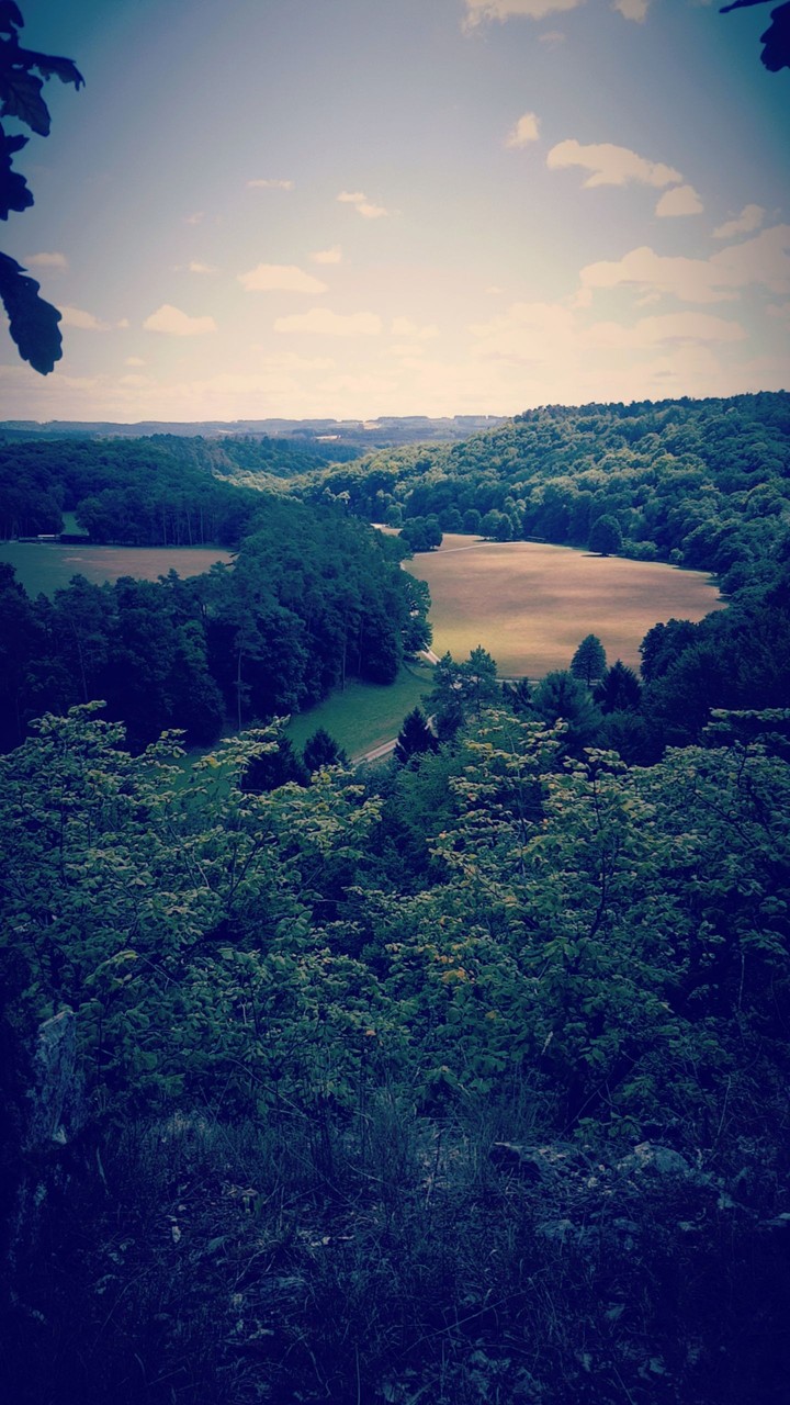 Belgium's nature