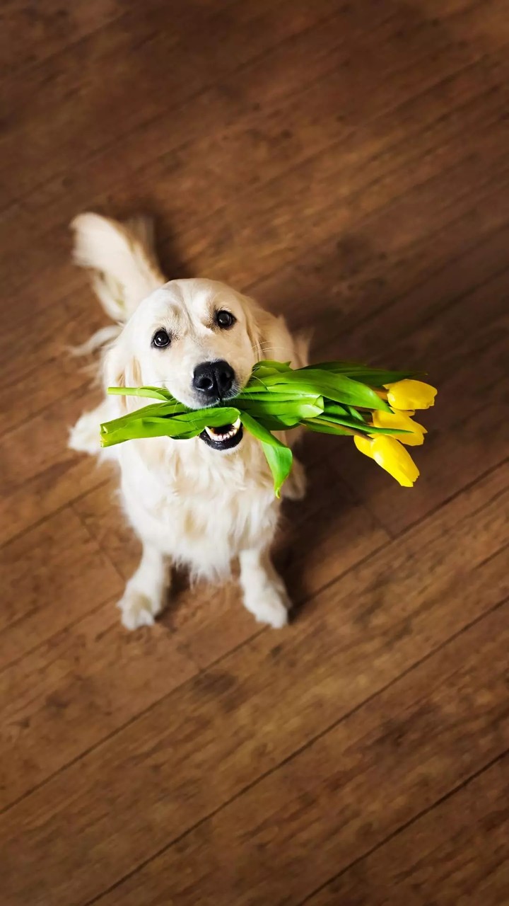 cute