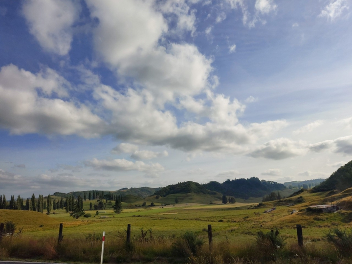 wide field in New Zealand
