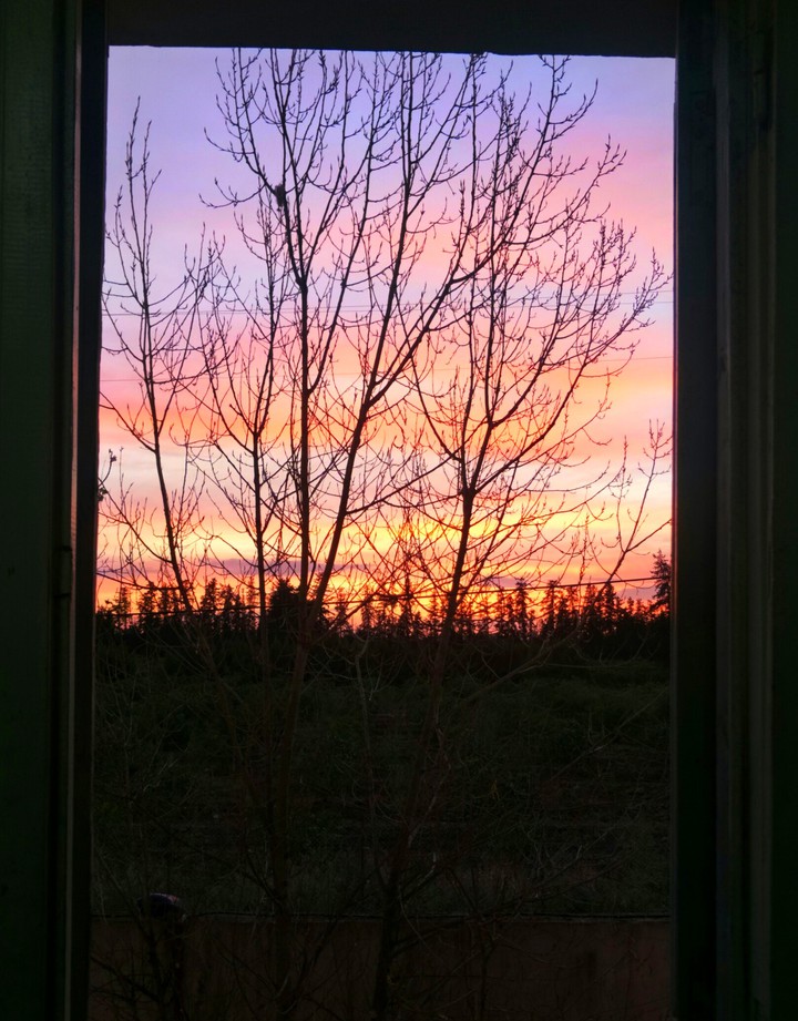 colorful sunset