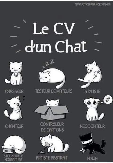 chat