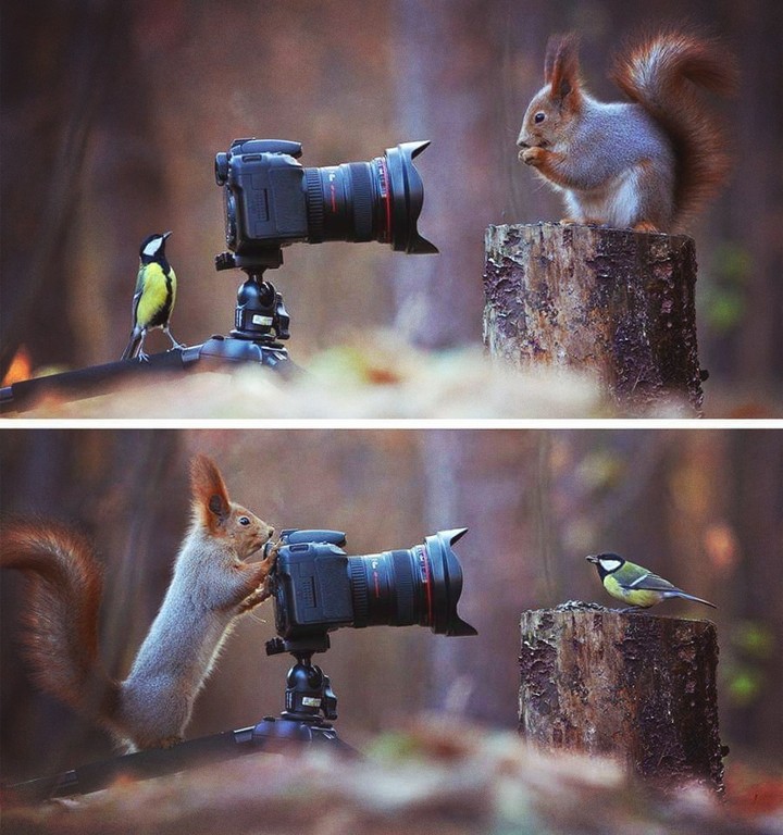 photo