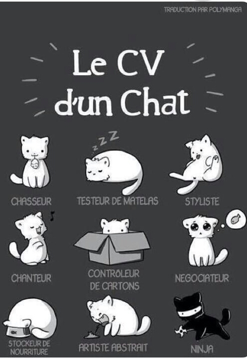chat