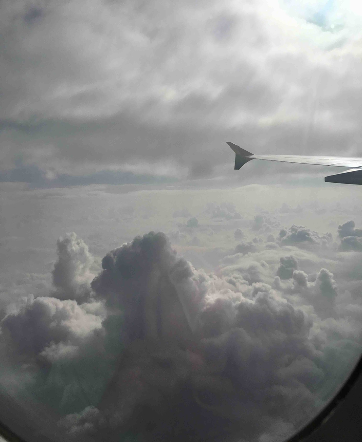 in the plane’s