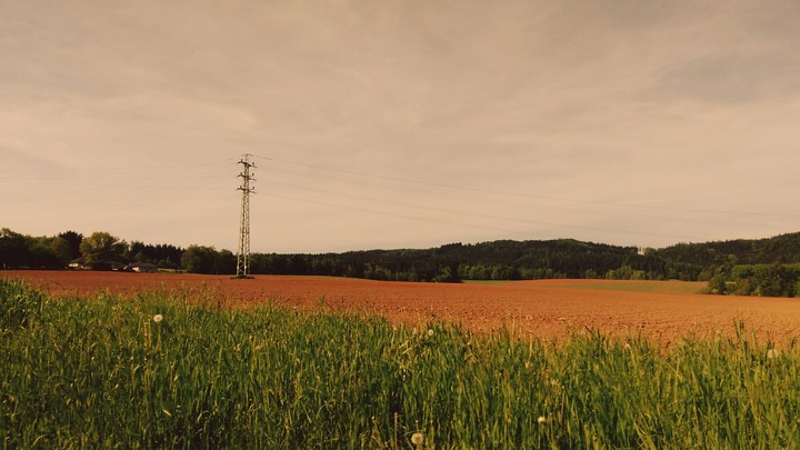 Nature
