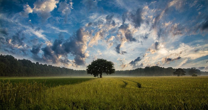 nature