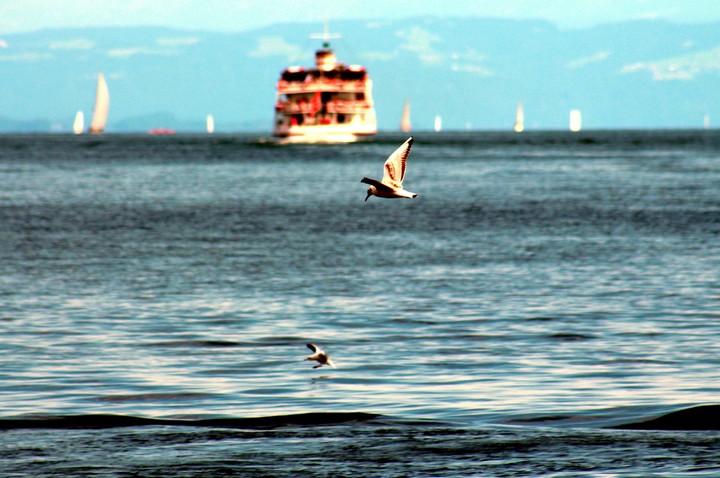Sea Boat