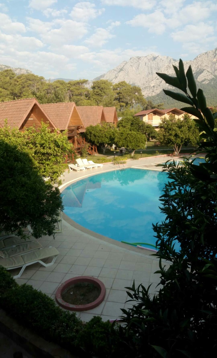 holiday