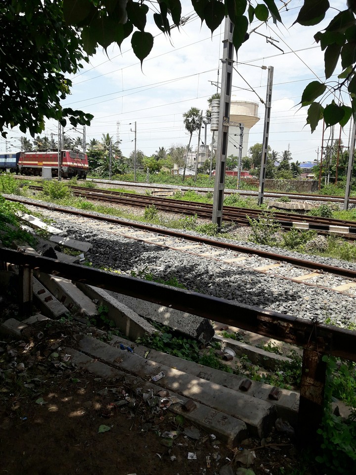 train