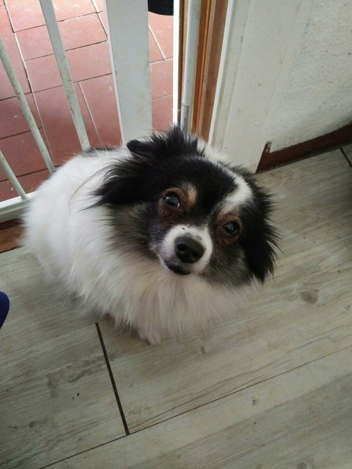 Lilly