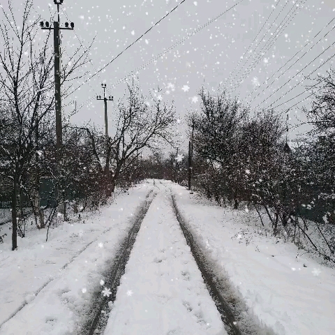 snow