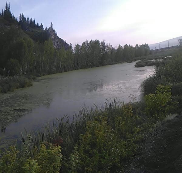 Утро