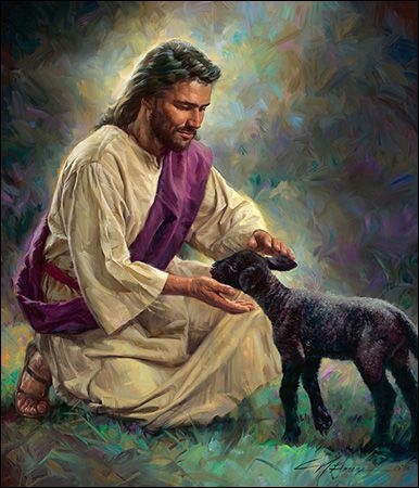 Cordero De Dios