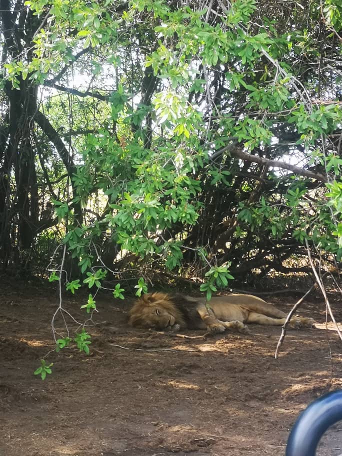 kafue National Park