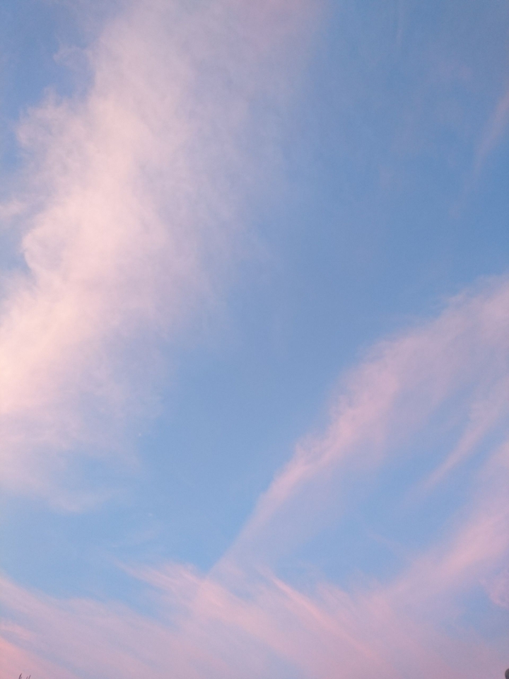 Cotton candy