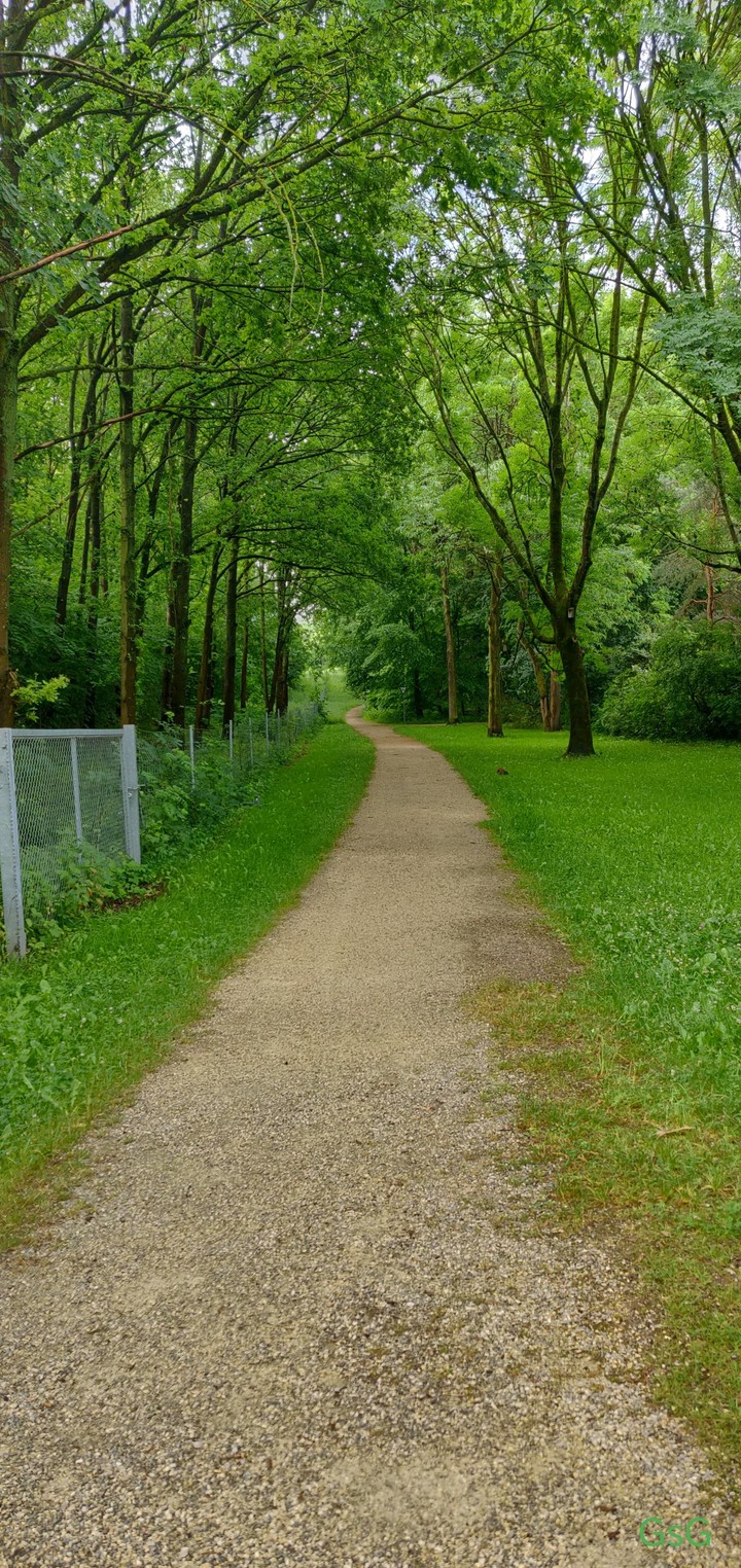 Way to Nature