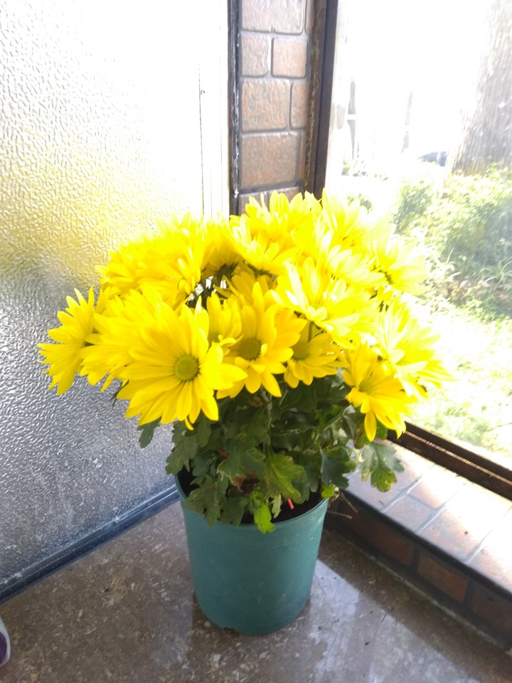 #yellow