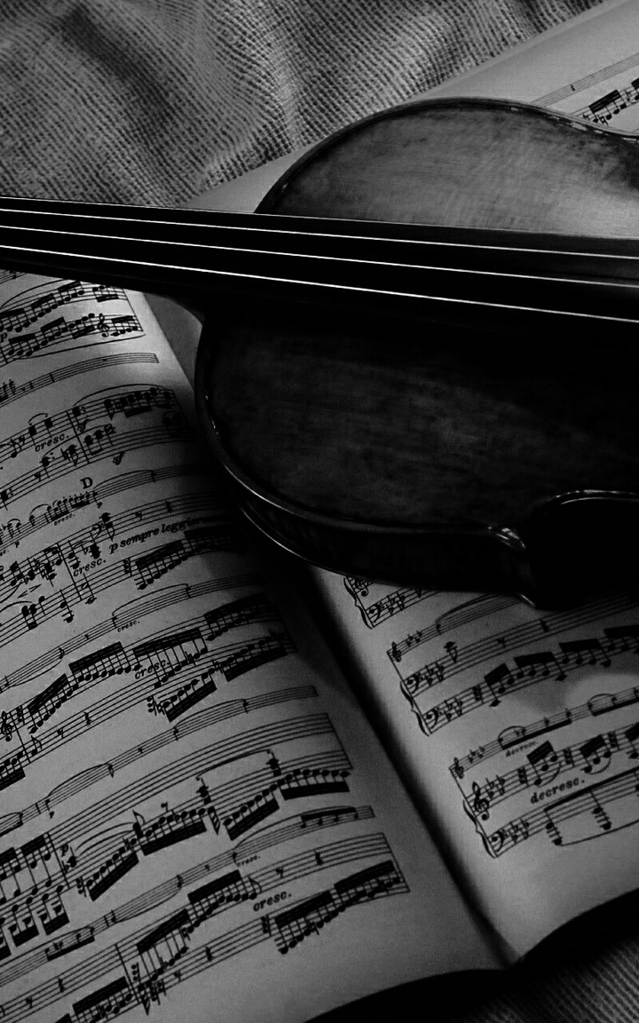 violin