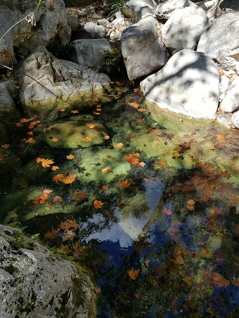 inlet