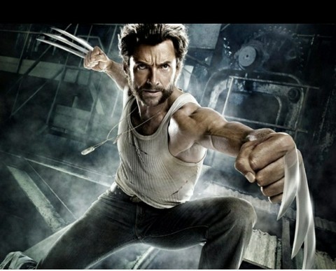 wolverine