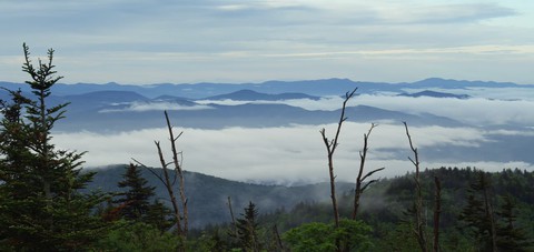 beautyful nature