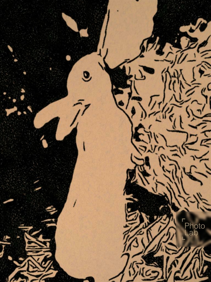 Tiere