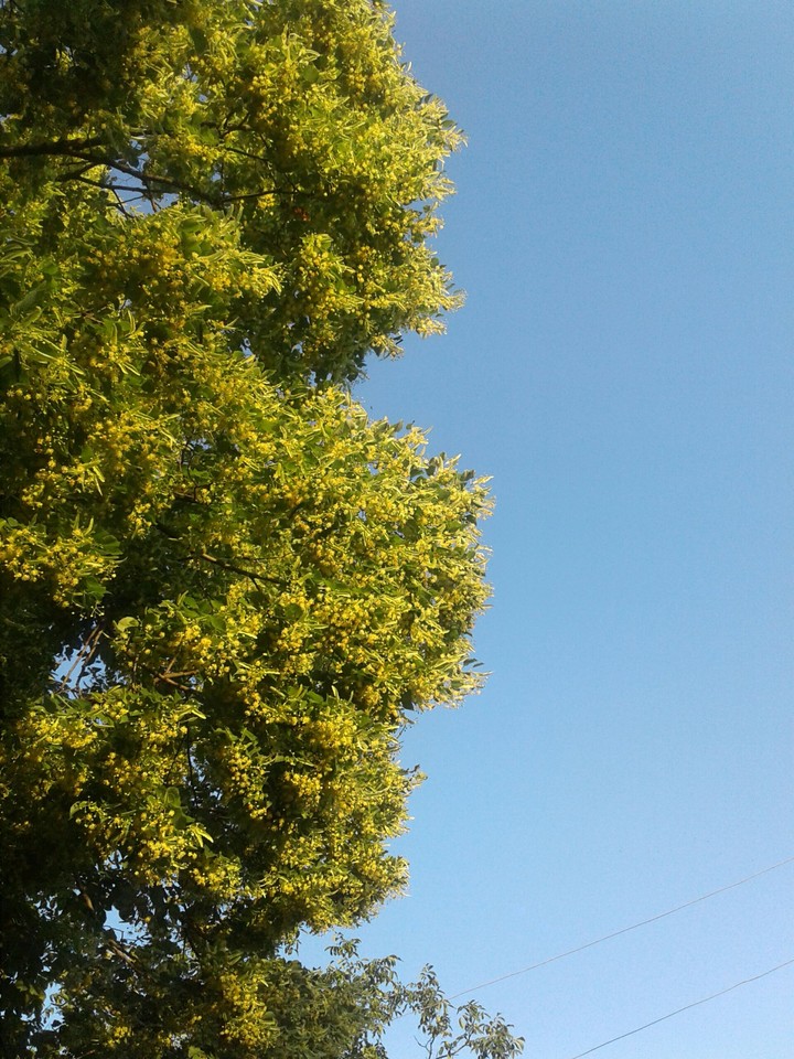 half