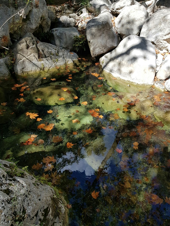 inlet