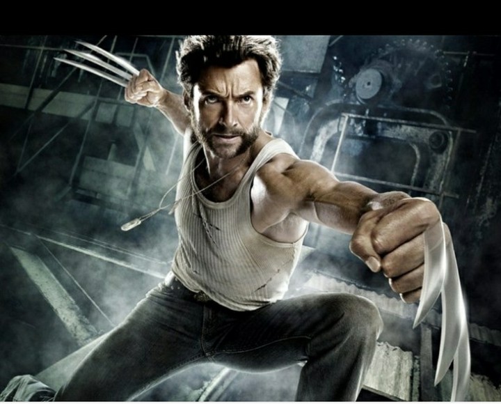 wolverine