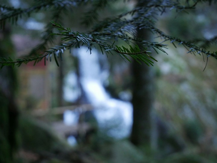 waterfall Triberg