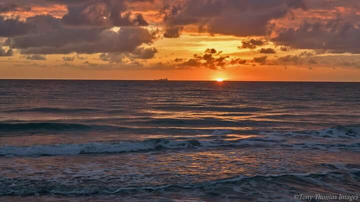 Canon 77d