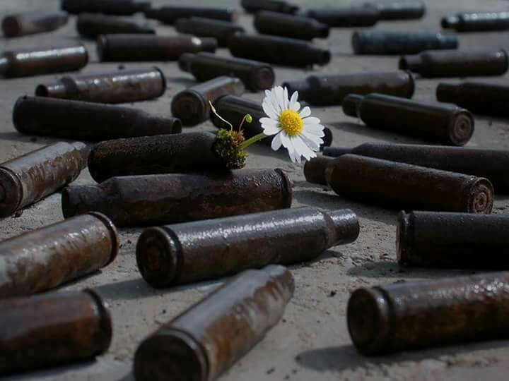 Life ...
