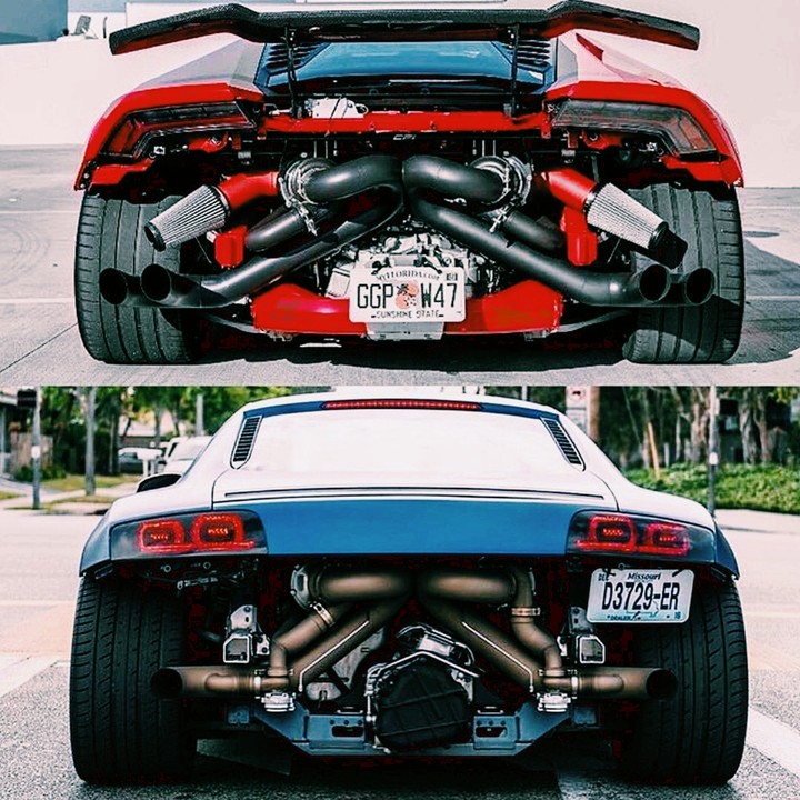Which looks best