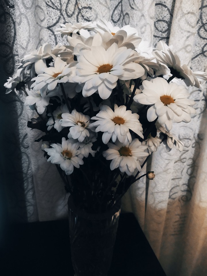 цветы