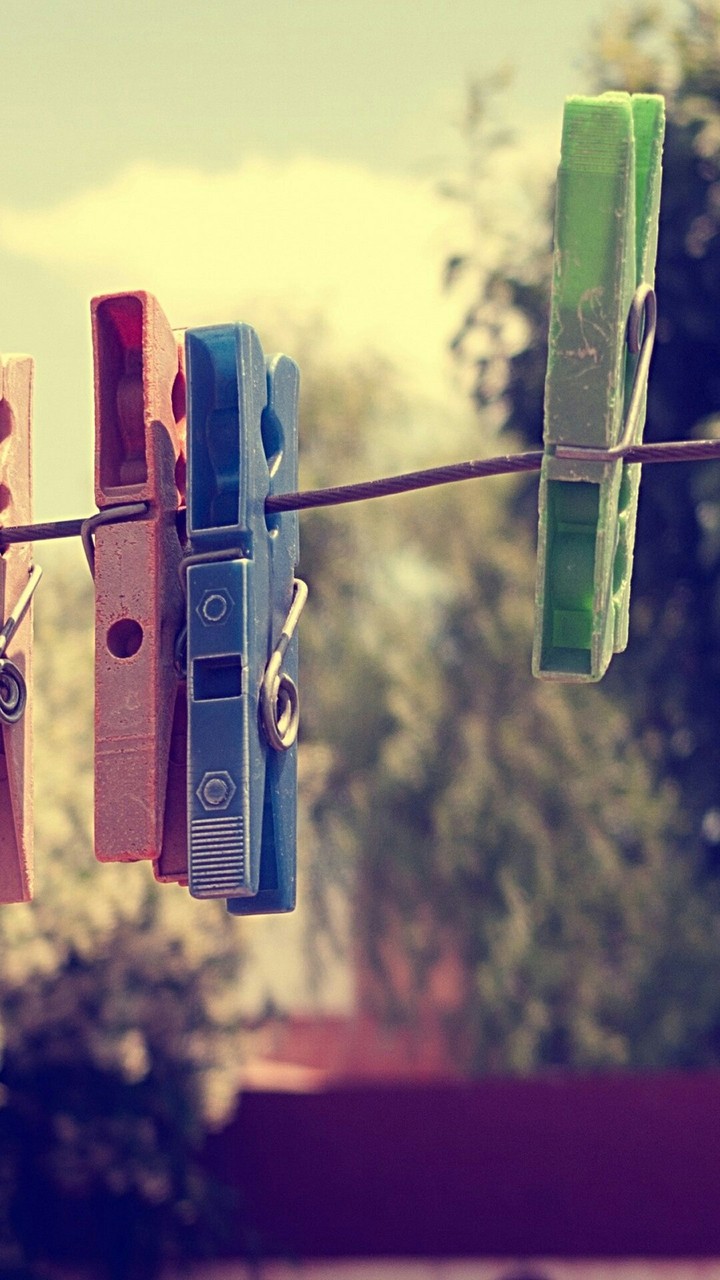 clips