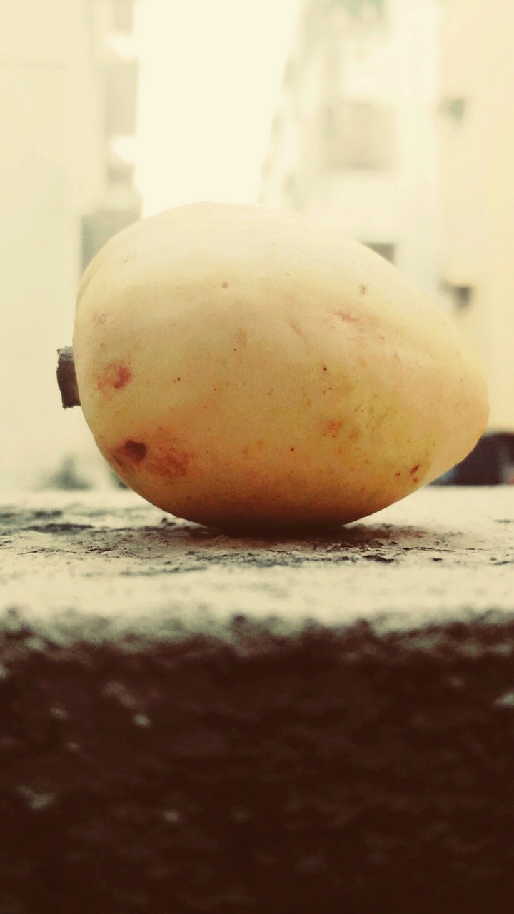 fruit