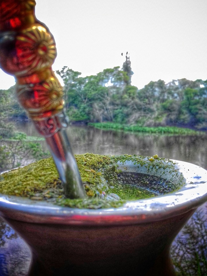 chimarrão e natureza