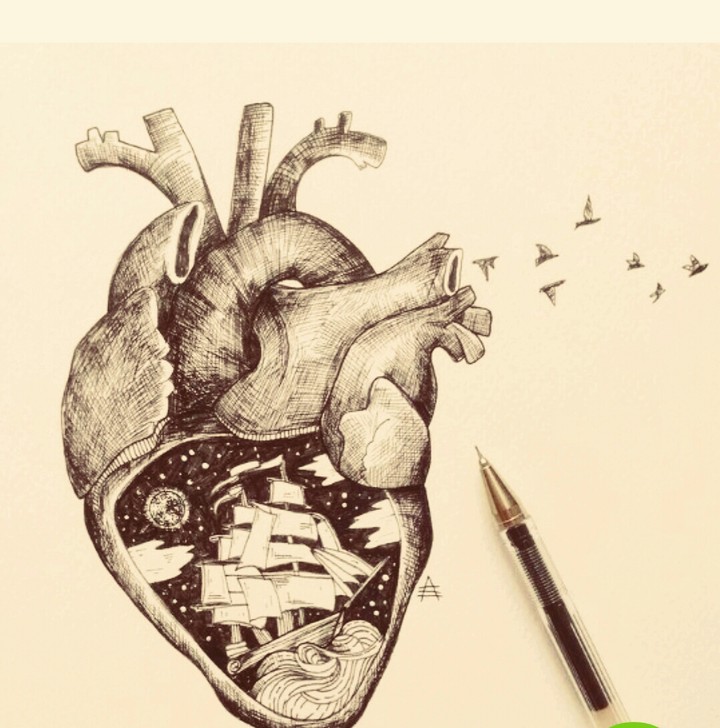 heart