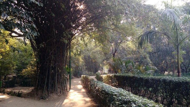 Lodhi Garden