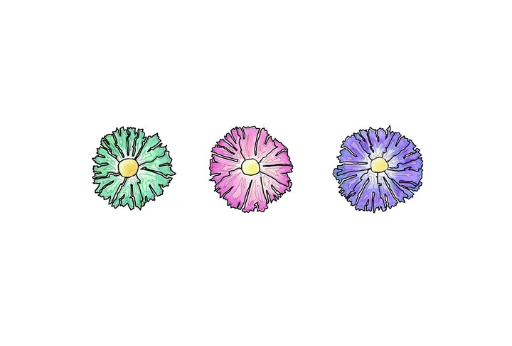 flowers