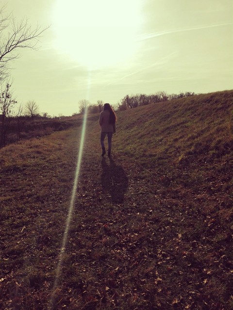Walk in the forest