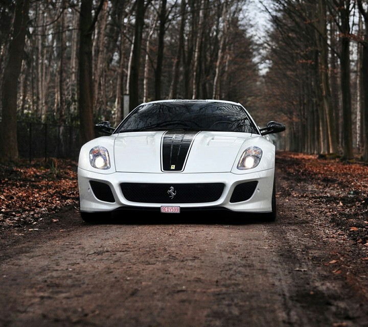 ferrari 599